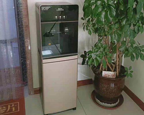 案例展示